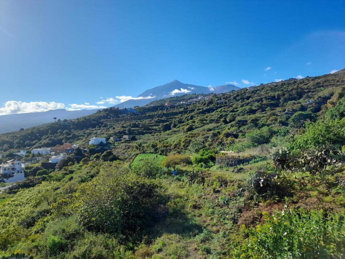 La Casa Del Bisa Villa Genovés Buitenkant foto