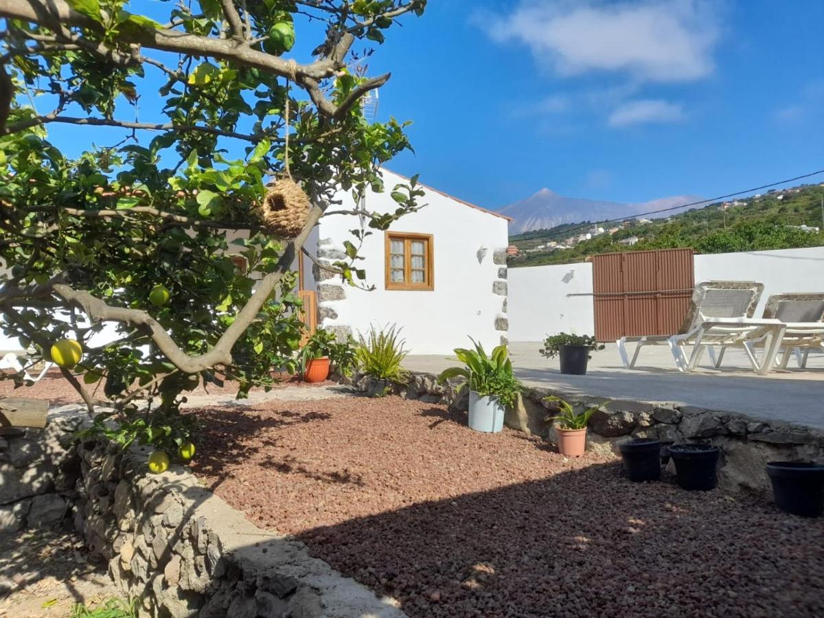 La Casa Del Bisa Villa Genovés Buitenkant foto